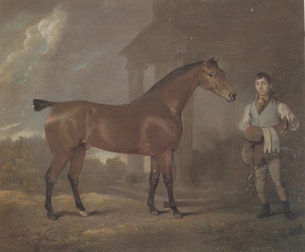 The Racehorse 